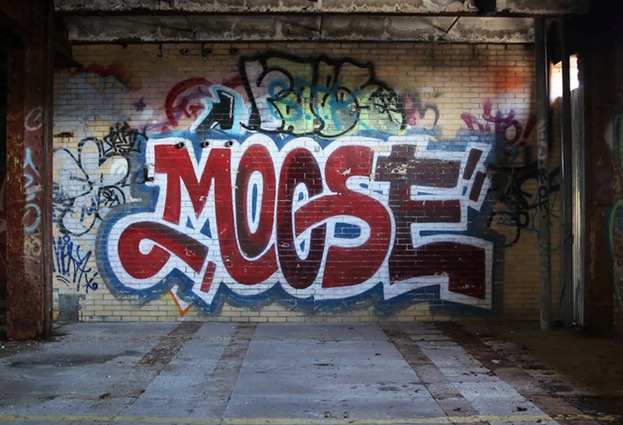 moose-623x425